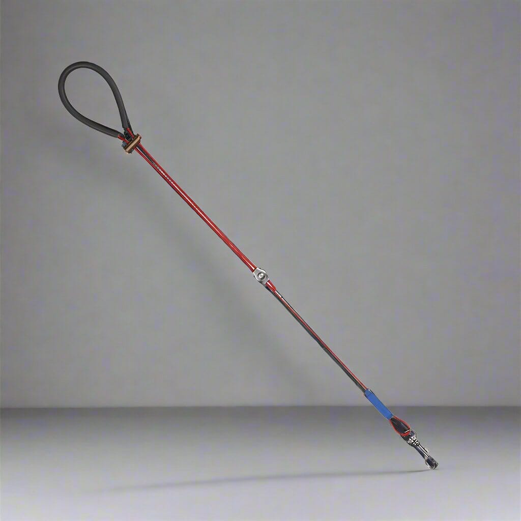 Collier Chien - LigneToilettage™ - Rouge