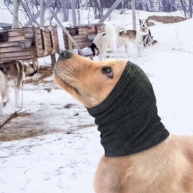 Snood Chien - CalmeOreilles™ - Gris