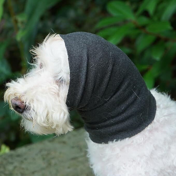 Snood Chien - CalmeOreilles™ - Gris