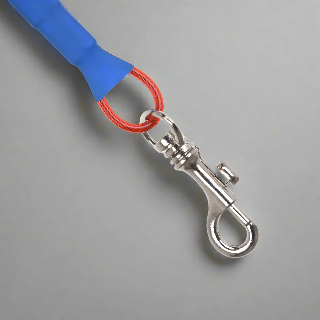 Collier Chien - LigneToilettage™ - Rouge