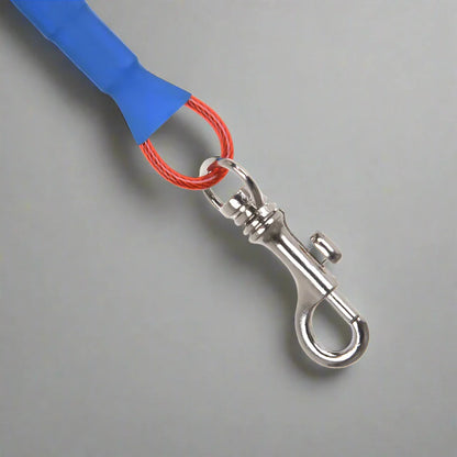 Collier Chien - LigneToilettage™ - Rouge