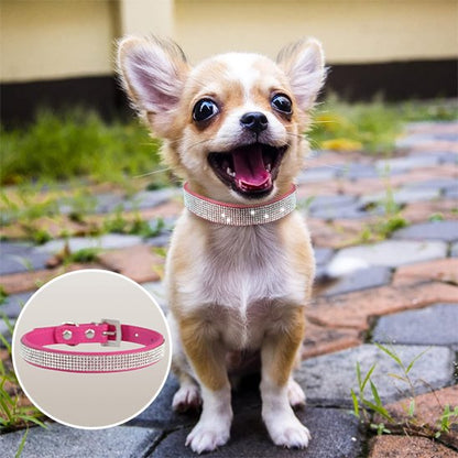 collier lumineux egale toutou heureux 