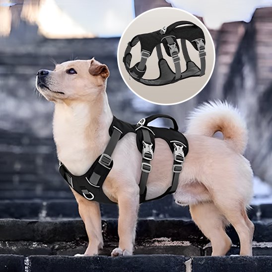 harnais en gillet qui respire lelegance