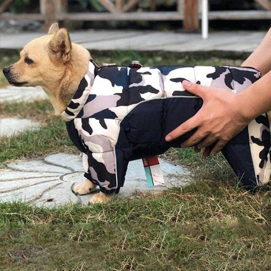 hiver tendre avec manteau qui tient chaud 