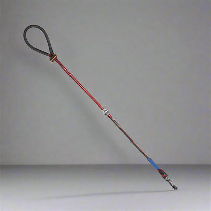 Collier Chien - LigneToilettage™ - Rouge