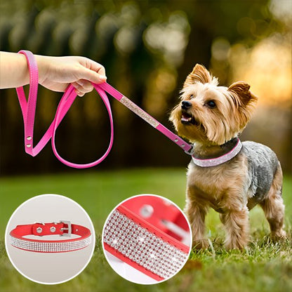 promenade au son de collier en paillette 