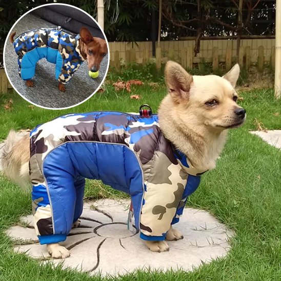 un manteau qui protege comme un roi 